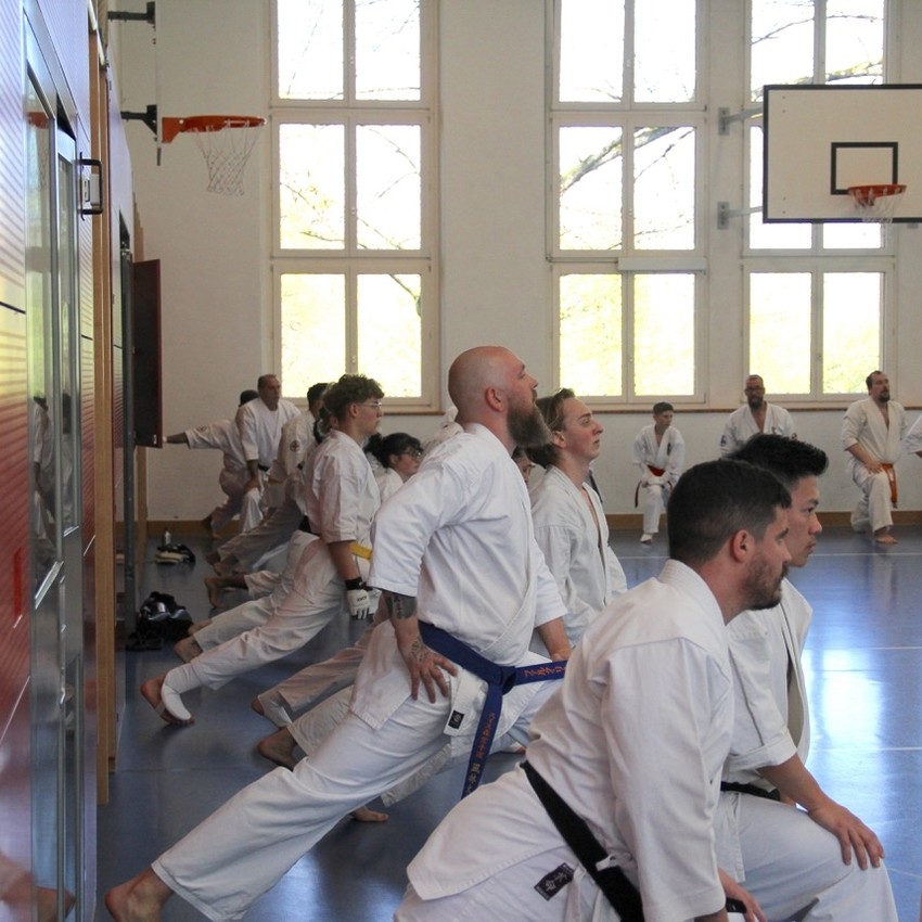 img_6222-4e8fdac226b5cf0cb15afc6492a5dedc