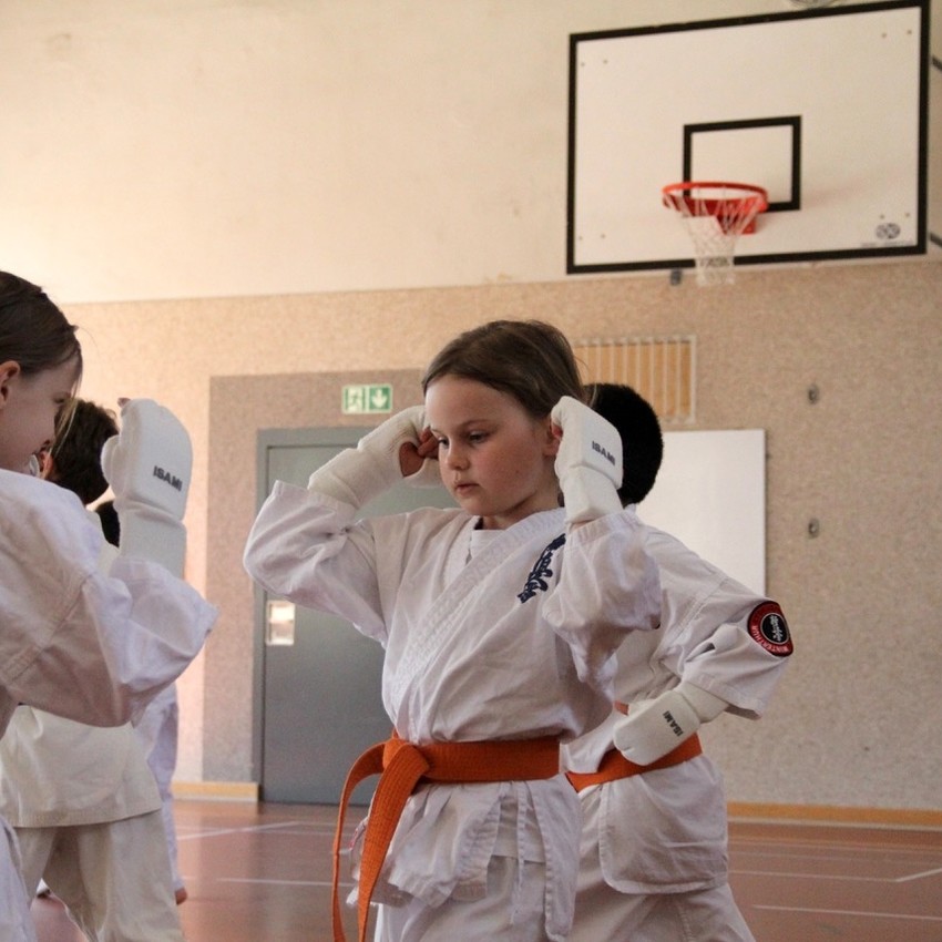 img_6232-6ec0466fc39078b86974bc3fb06f1dce