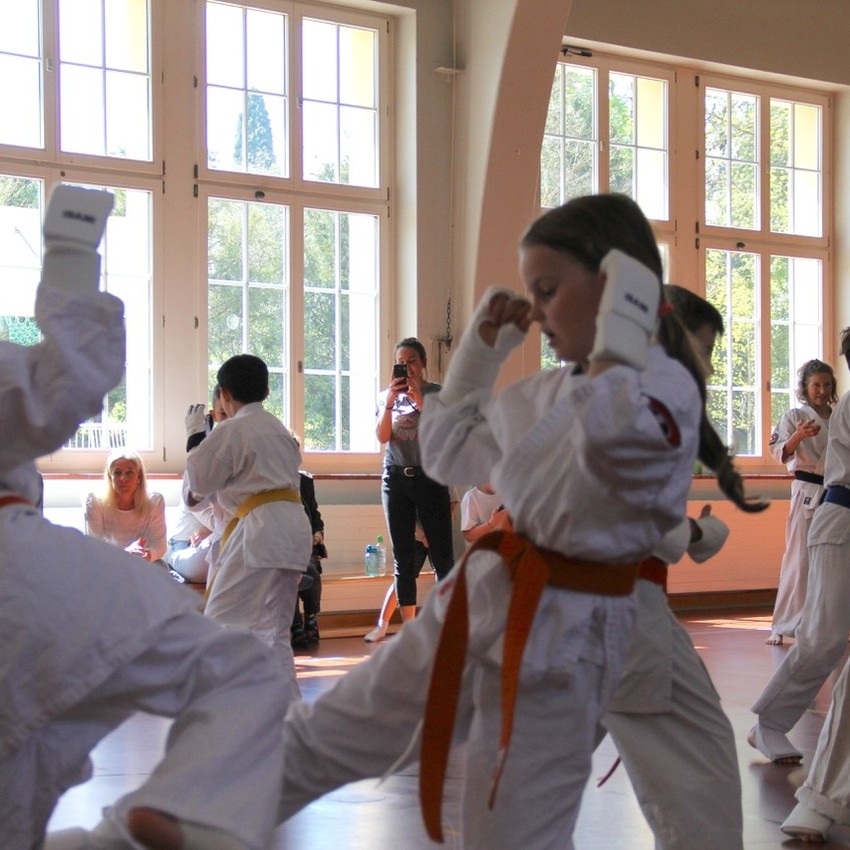 img_6233-91bef21bb2ef1bd39ec021c71dbf3bbf