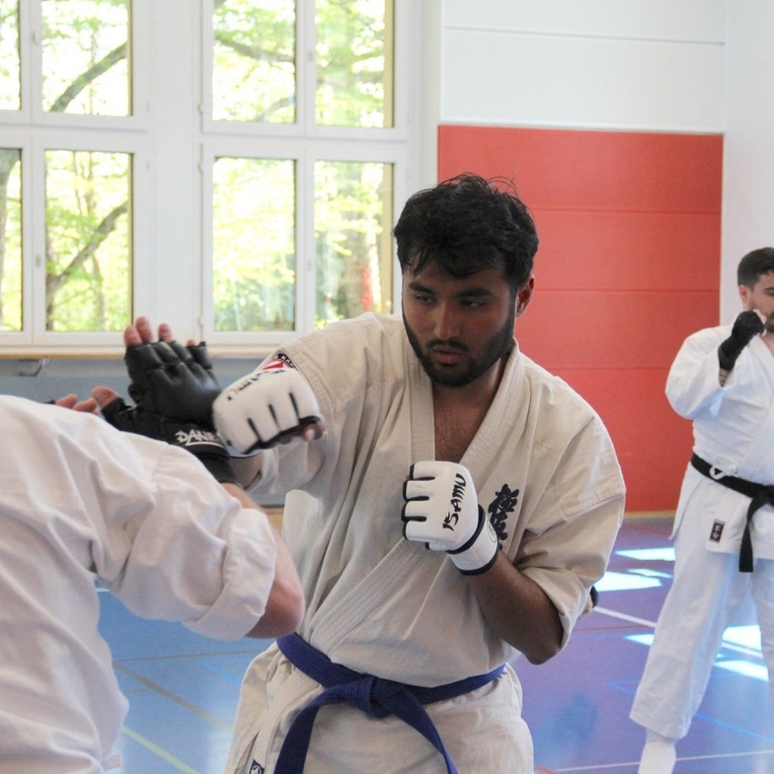 img_6239-1c42932ac268b253821d4067ae41312b