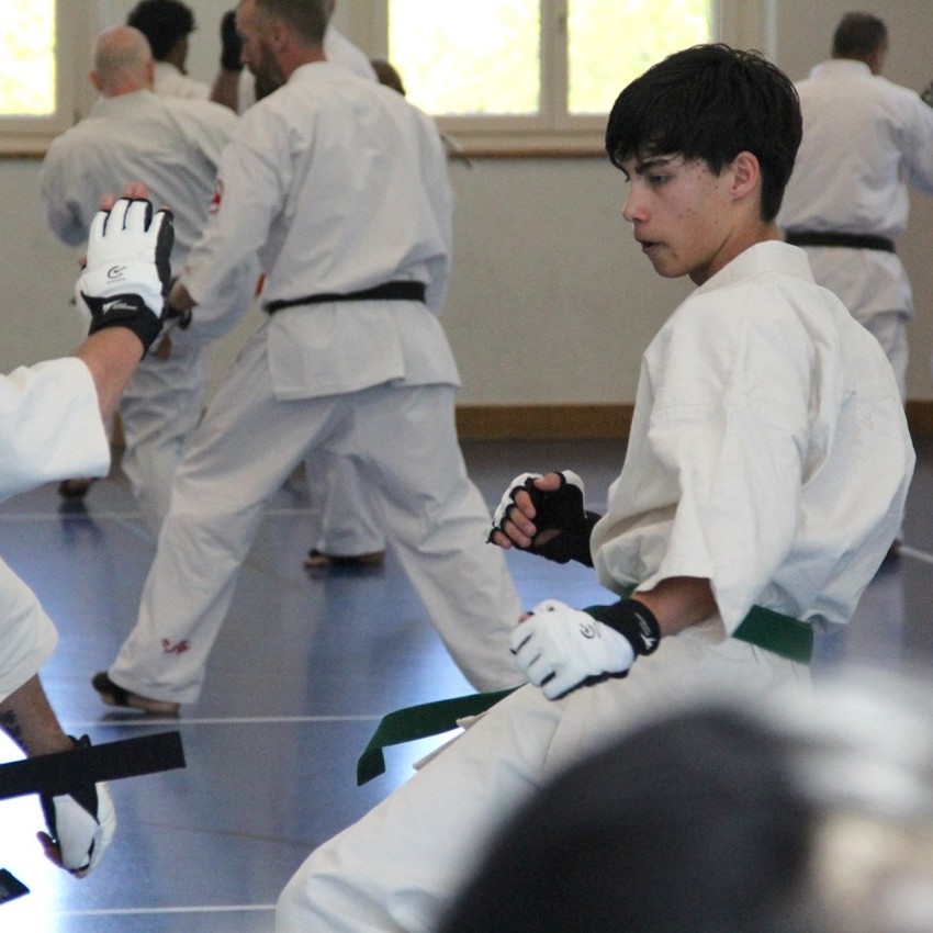 img_6244-0d5b69dc7e9aa676cd09956216b1d928