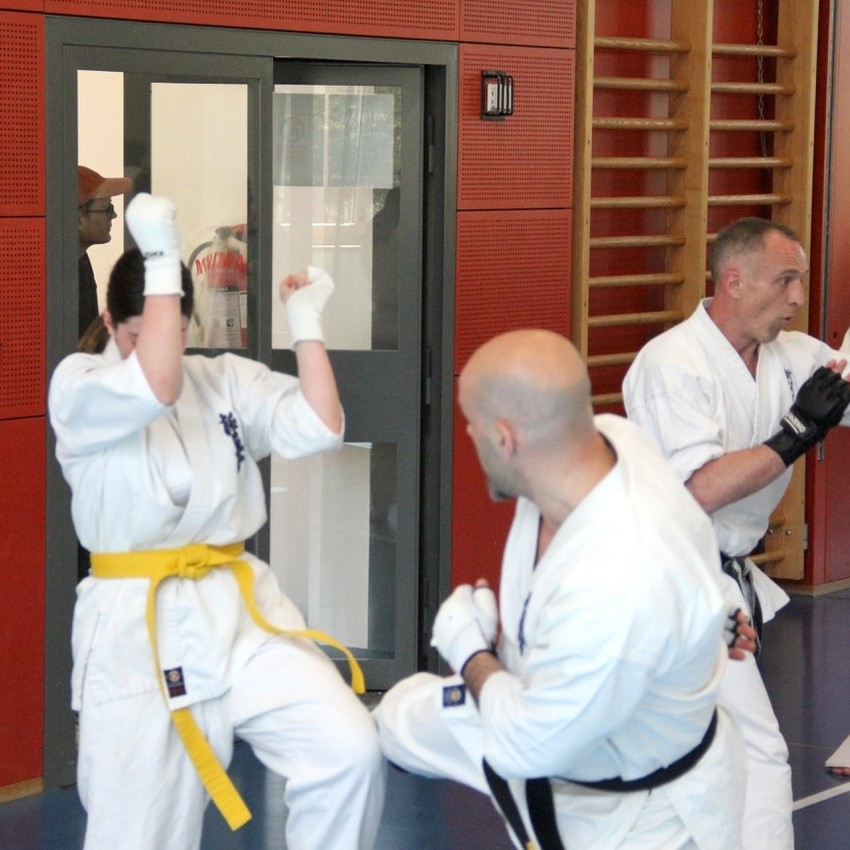 img_6245-54ec967490961ad5d40591d55b4f9170