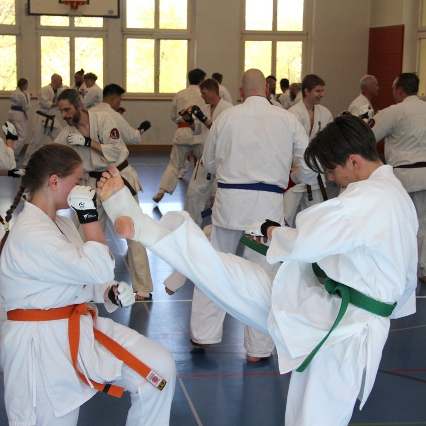 img_6248-4de05f8000e437d85bc950f8fc919550