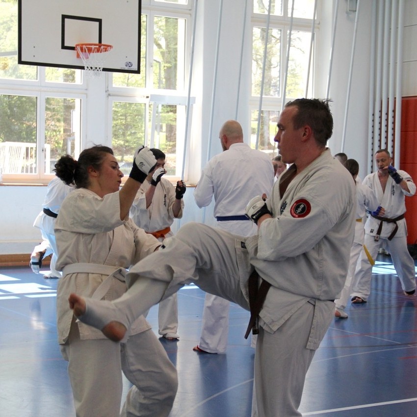 img_6253-33866ee1d638f2345c2ea5215c729ae6