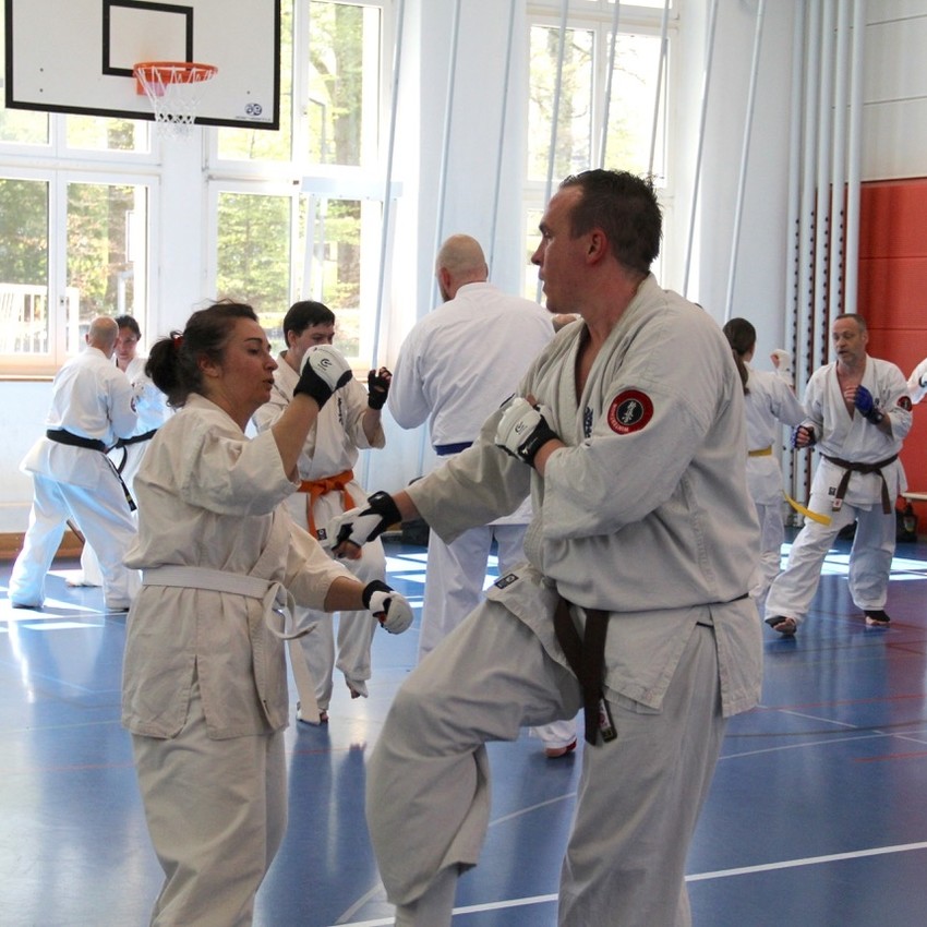 img_6254-d4557fa99afcc2e0e16ee492461ce9a1