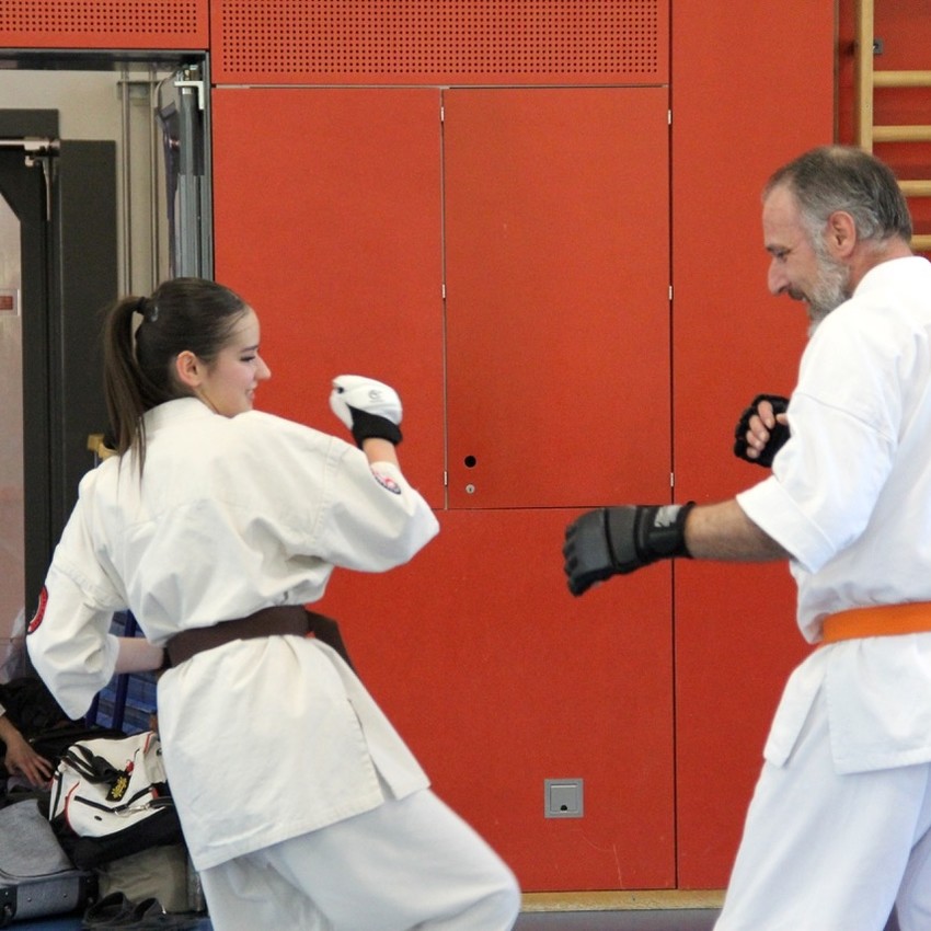 img_6256-52dbcbc107e452e90f1c47b2c5ef594f