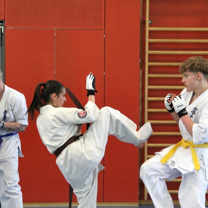 img_6260-d5bc3354a3a6472f8bf81ca2dbc4a1a1