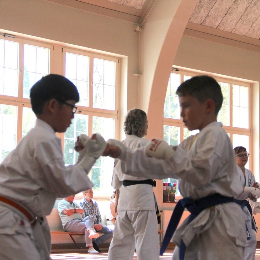 img_6276-8d8862bf4ef9f7e1bf101d90ce2aa4be