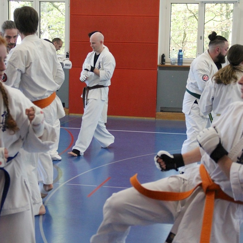 img_6284-f8e46ba0f0173adce5ffa189f656cda9