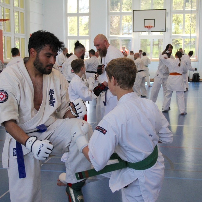 img_6285-306de28583ed555ecc06a7286b1f28d4