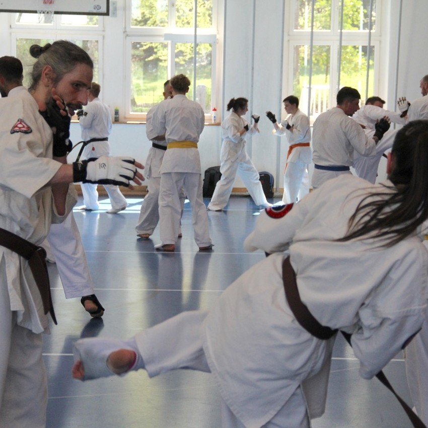 img_6286-e655f8df6e863fa15ce6e7d4e9fc5558