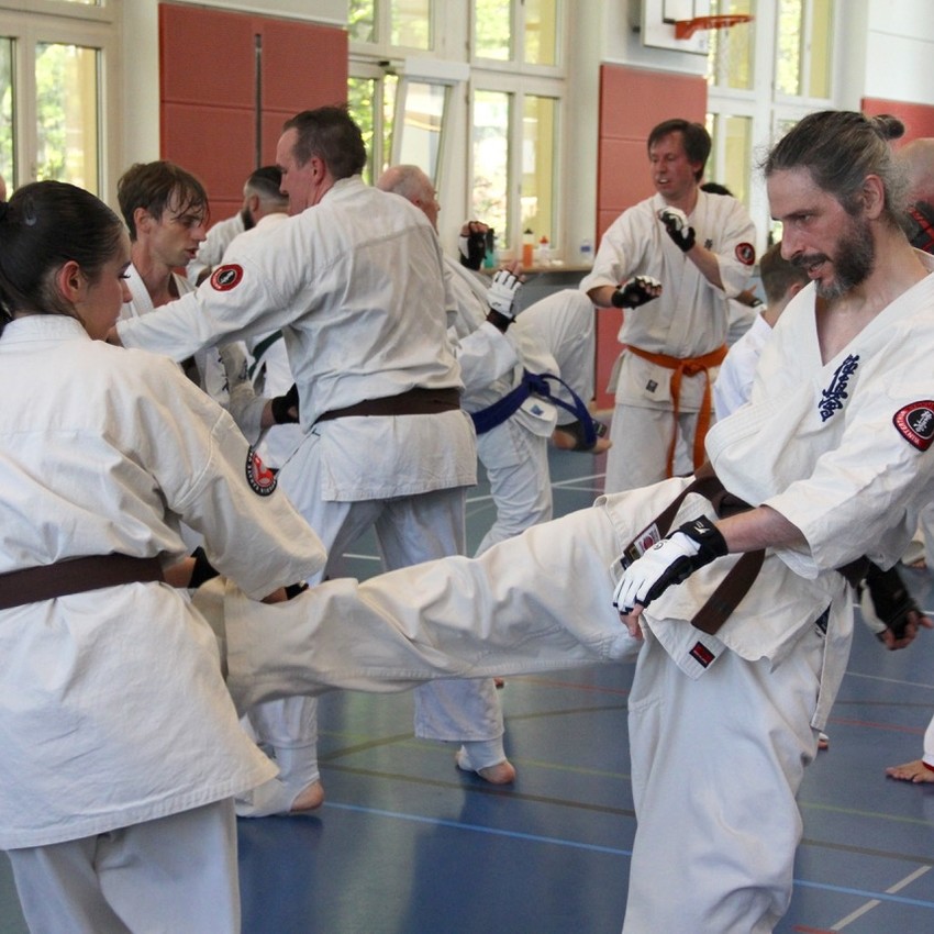 img_6287-2b4bd5524bd576258df56e0fbe1bfc20