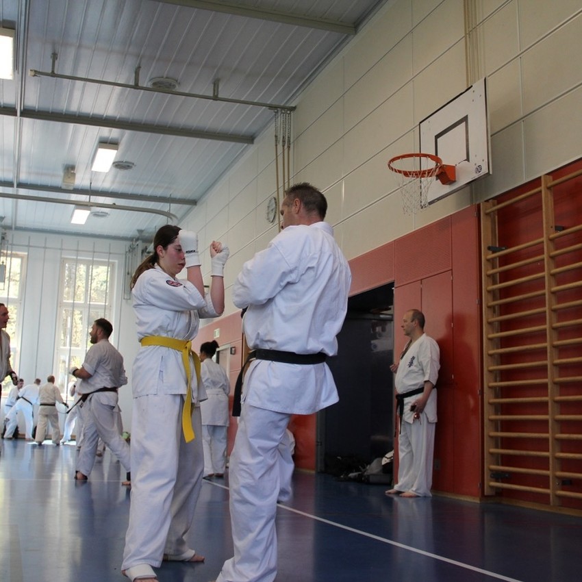 img_6293-95a151b081e525b5d6c24221cf770370