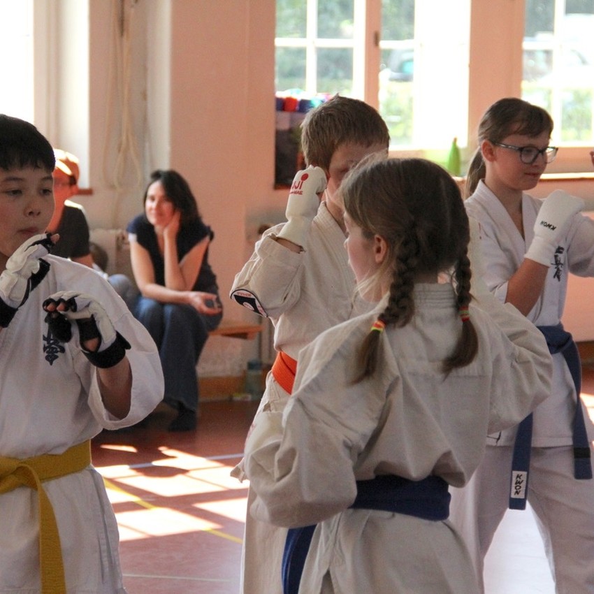 img_6295-b963028591aca7e04e2833dcd8ba0225