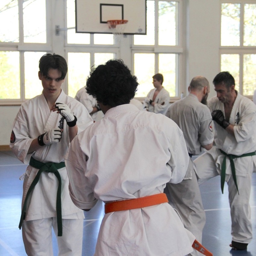 img_6334-db4408b1252e837f4bb2e95ebc487dc7