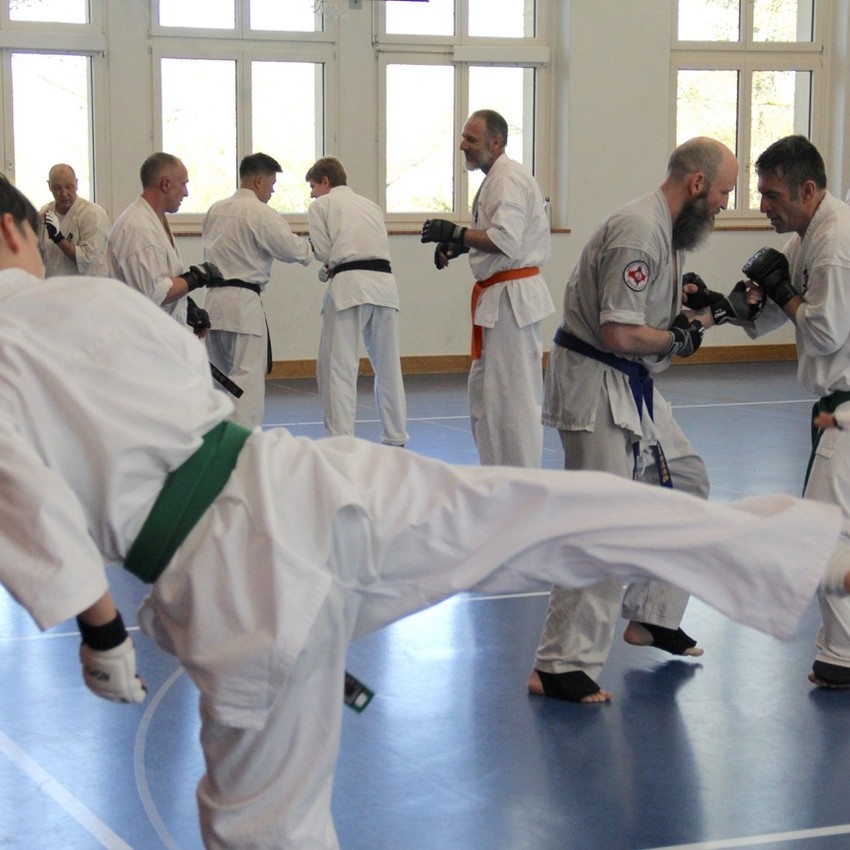 img_6336-ca8496a19baa6cdc5372de3027659cdc