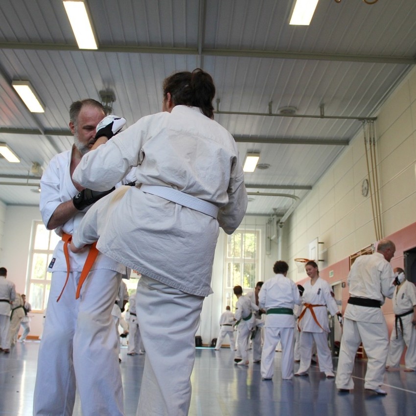 img_6352-d0baa98cb124b4a31355fad20dd66673