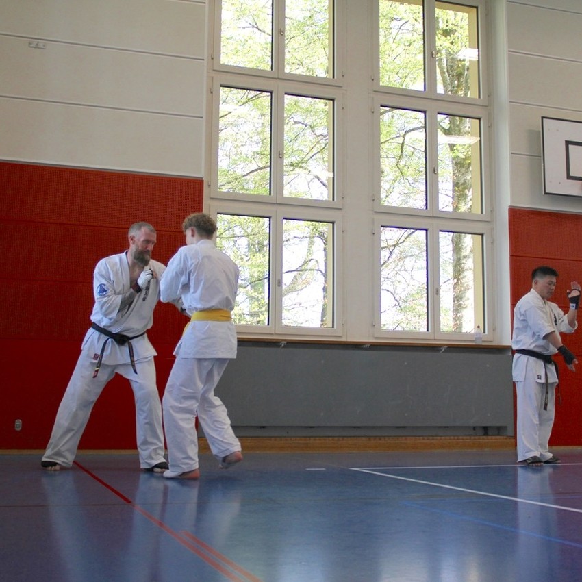 img_6354-d725923211cc4ba8e728fd75ecc7e4e3