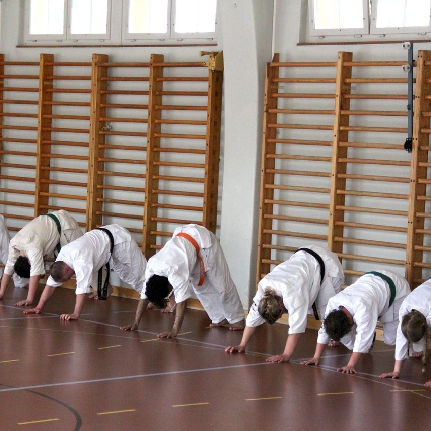 img_6378-ad3d9e22952aa5ab0744a4d729d88631