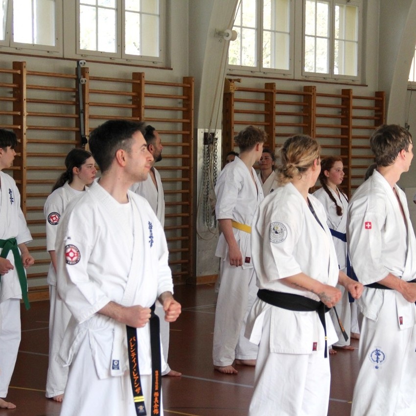 img_6383-eb6f4d934ca3b4c69ec137365956850e