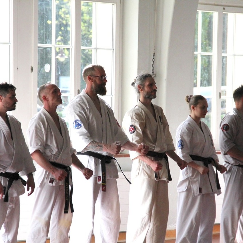 img_6399-c1c33080f5905f95027bbd36e8db2b41