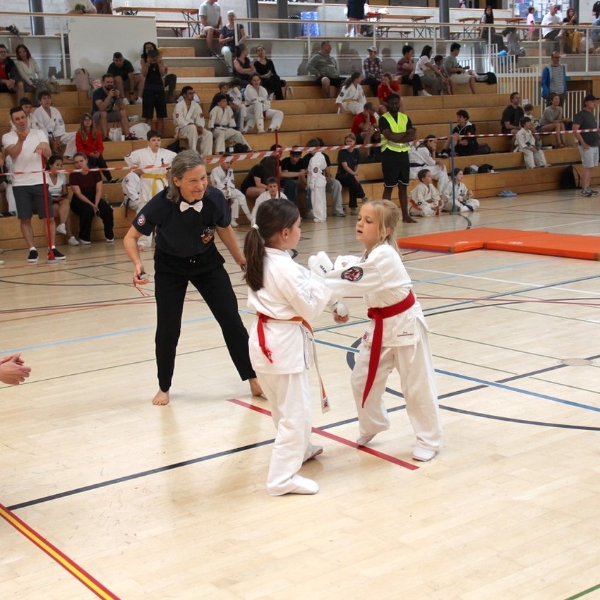 img_6450-c9ee8e57559451efe5a48881ee063669