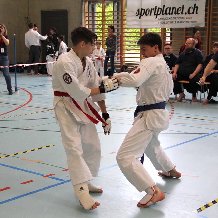 img_6484-46273455069eb096e783cb9b64baad56