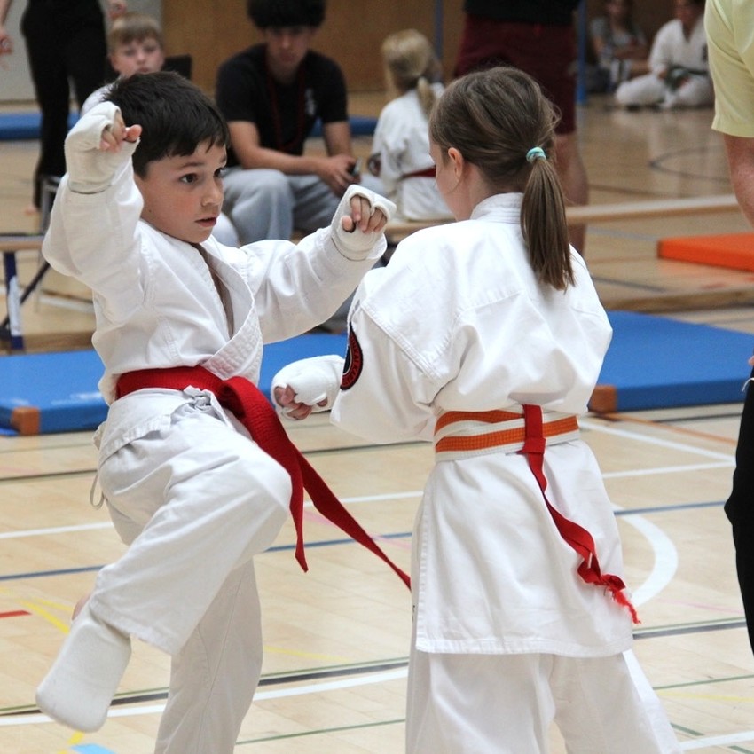 img_6506-b590594ad3568ab242c025864f0c3926