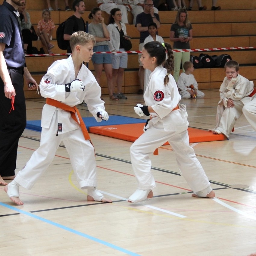 img_6536-121b62988867bcb91682b1f737102886
