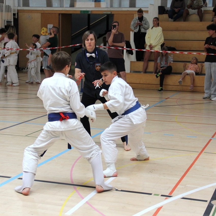 img_6574-68d2ada4fa306c4e5151f0781bccaab4