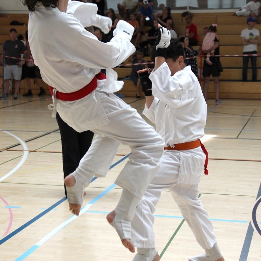 img_6576-956e744e96c37622ad44a52669ae29c9