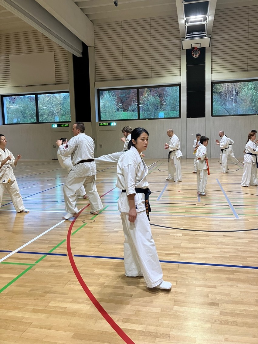 img_6678-1f87fac3a2e83982bb6e9c4ba4ca8438