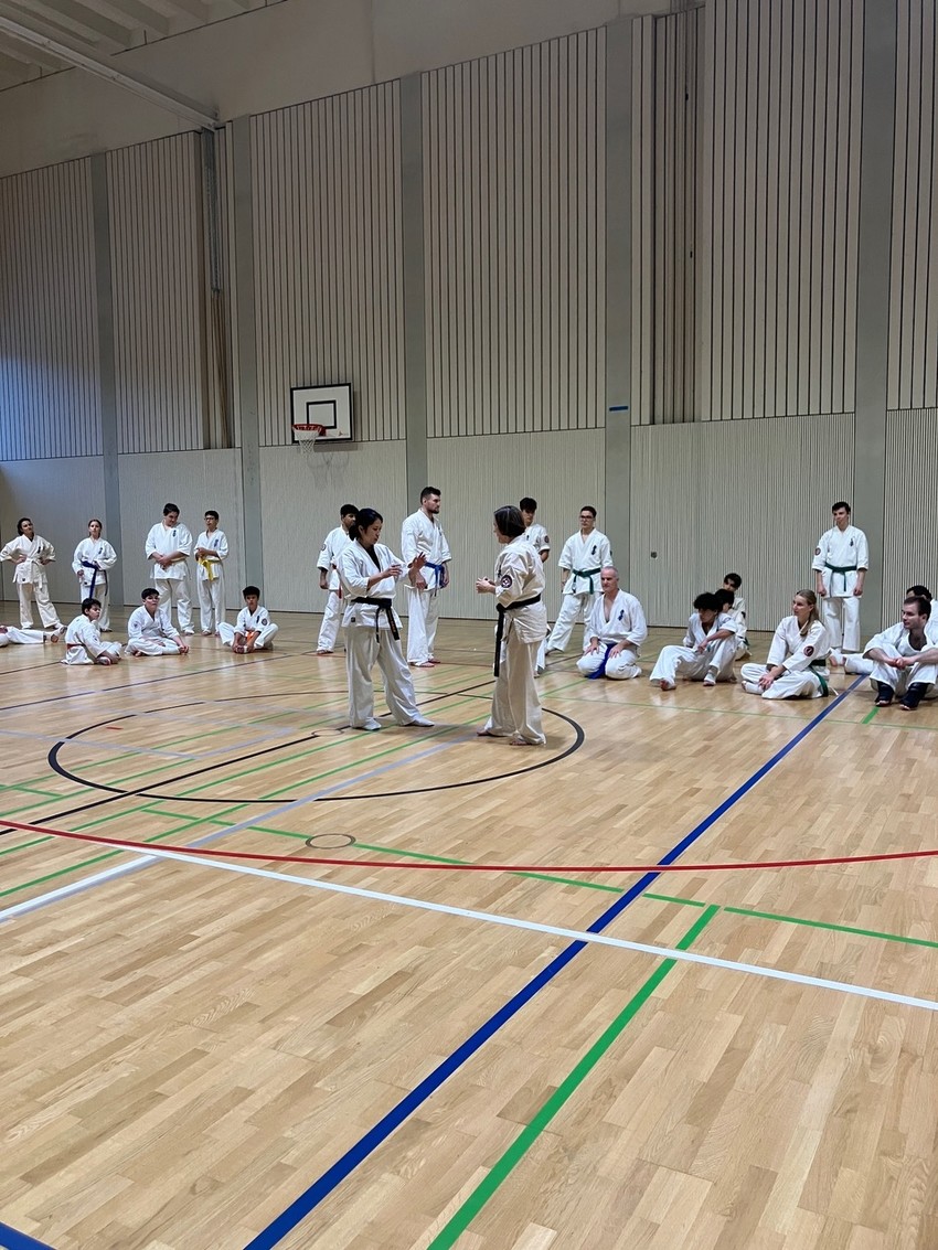 img_6699-eb405c2246365187b80fdcfc656e3fae