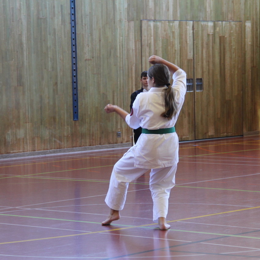 img_7500-495624b7a996546f441ede0d3de44521