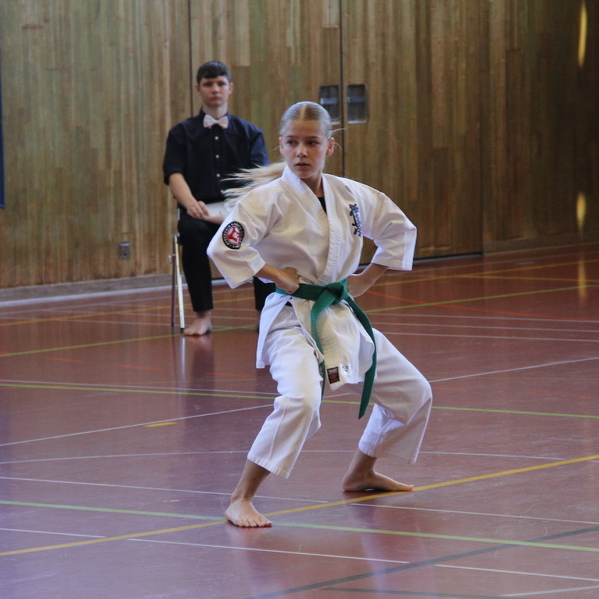 img_7513-5d4e5158bb082a557d199897a2cc489b