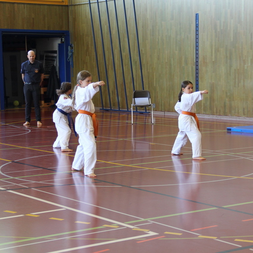 img_7532-7b30f1edabc6a59472e59c53f0502d97