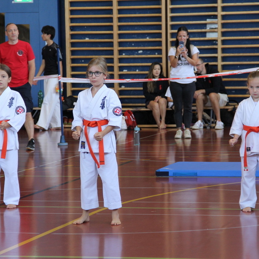 img_7546-4841fadd65be4ba428b55c2b96f7c049