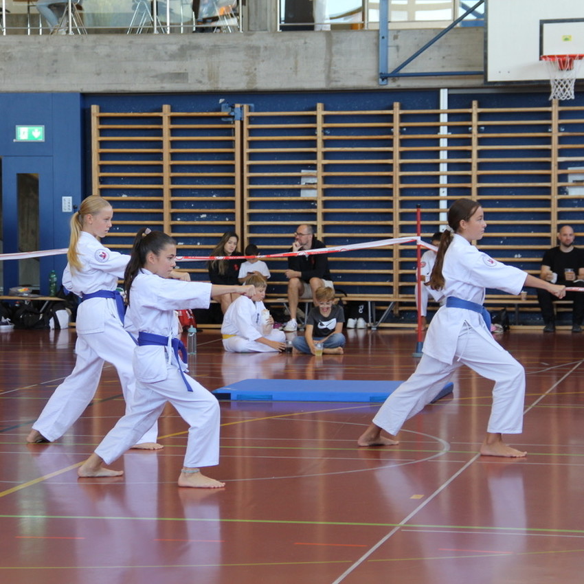 img_7548-5553c02d33319f5f7dbd05a56c47d6ee