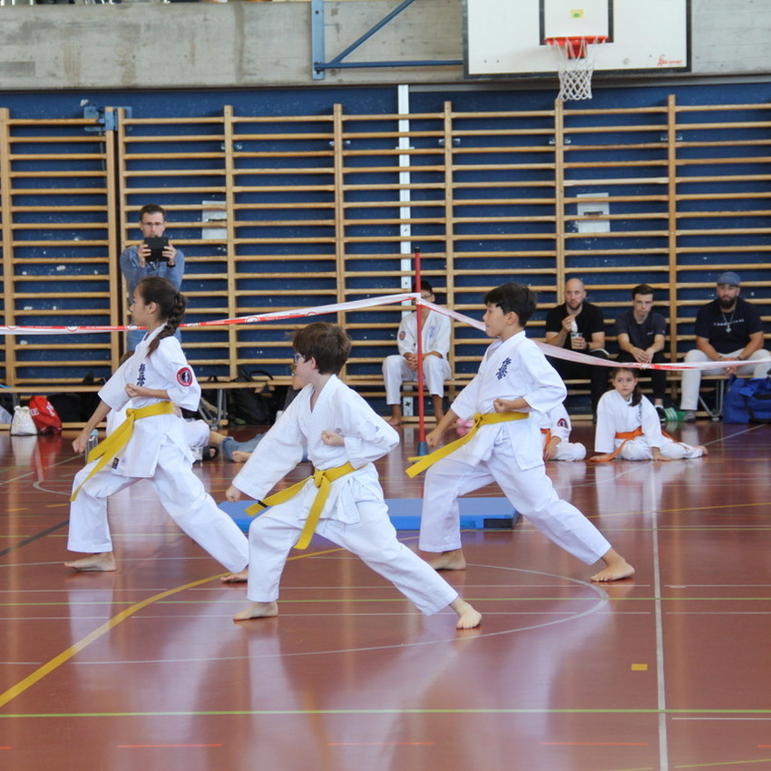 img_7551-5da08aa731b729132b2db43974fee226