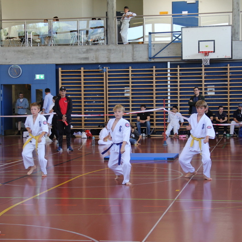img_7555-2d441f9a827c432ac9203a86a561d655