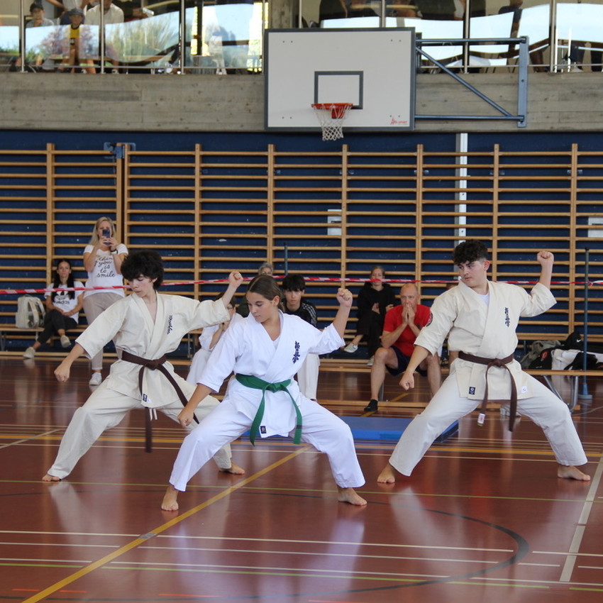 img_7572-1b53710634fdf480eb0b79be54ed2218