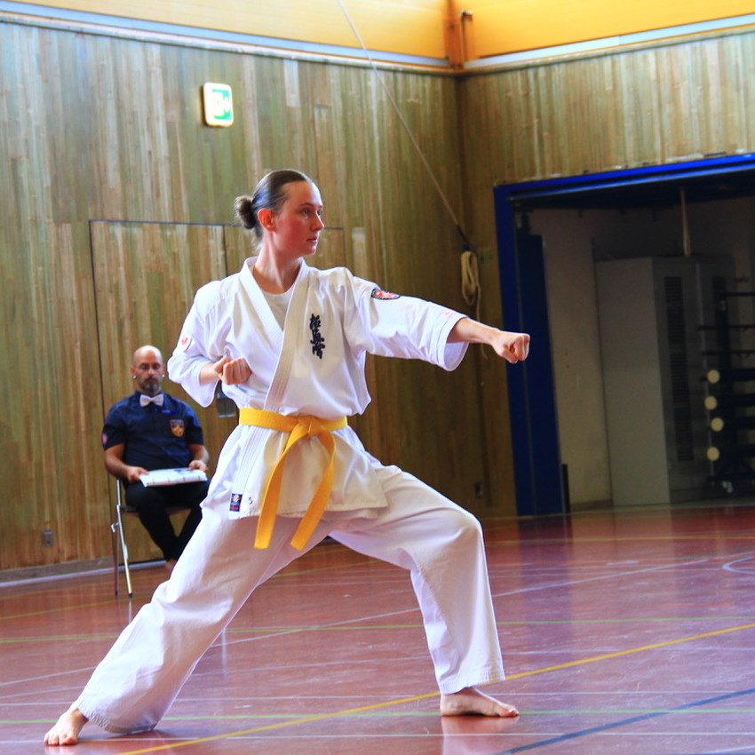 img_7730-6fb8d6755ee302383bd30aef5d7bf18d