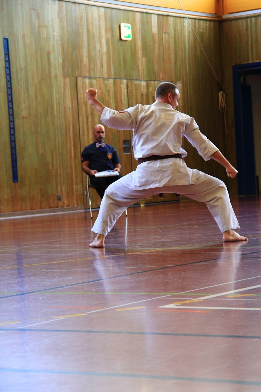 img_7800-efc15bf89bfc2b5e9c05d4e7a01e554b