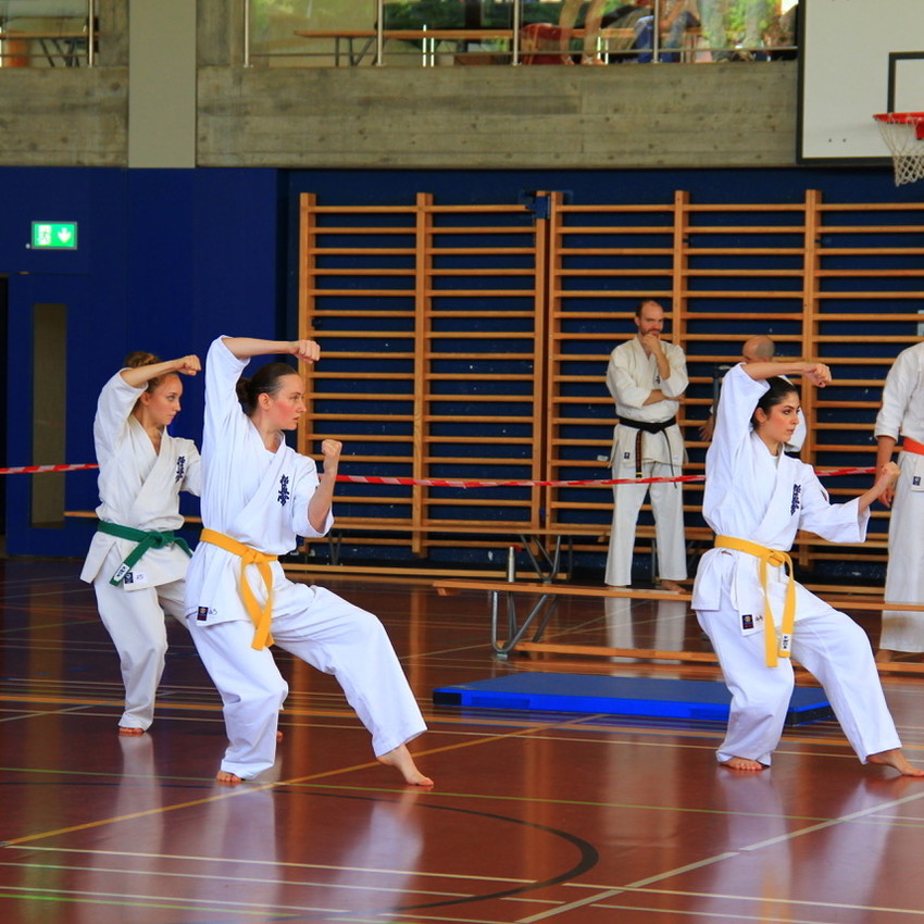 img_7846-76611c8fb9b09dff0370f8bf4b8f99cf