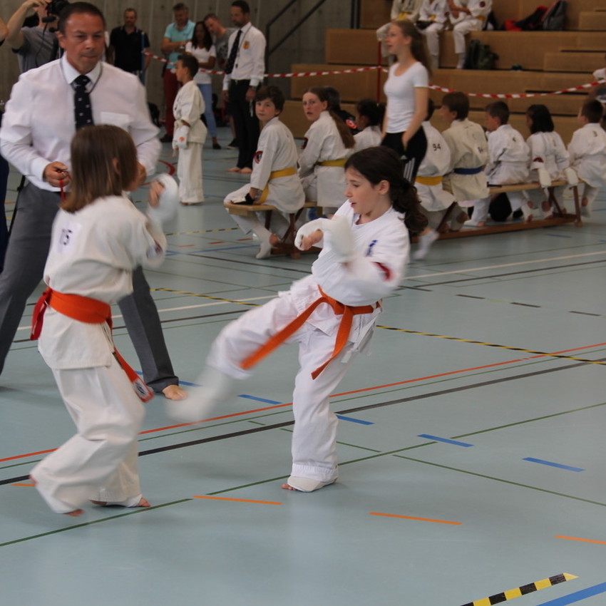 img_7933-a913e4c59d70e3564040b0769686ed40