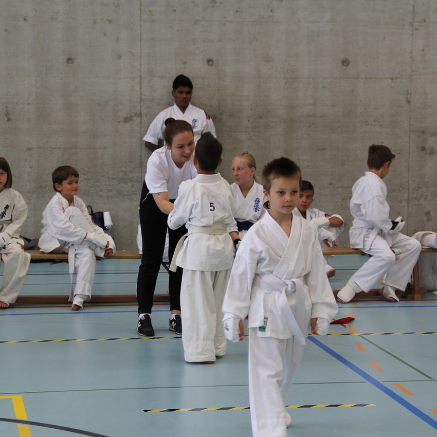 img_7955-8043f9bce64a812dfc0d8e9a8d9d9f5a