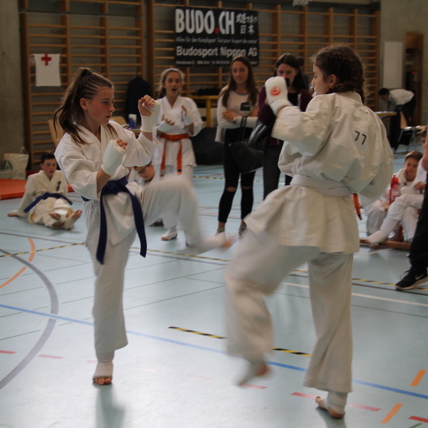 img_8004-5d59324572f455c76723170b6d68dfe2