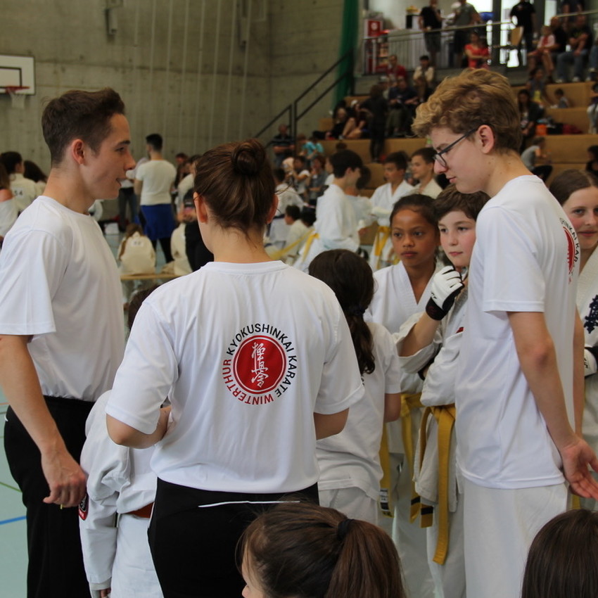 img_8005-64aef98426e4d8e3543051a44b0b71f8